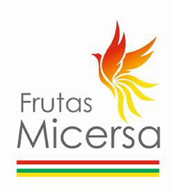 logo_micersa